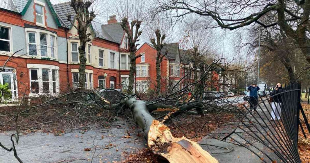 storm-darragh-10-devastating-pictures-from-merseyside