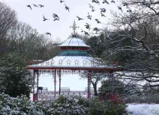 Captivating Snowy Scenes: 15 Magical Pictures of Merseyside captivating-snowy-scenes-15-magical-pictures-of-merseyside