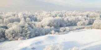 Eligible Warrington Postcodes for Cold Weather Payments eligible-warrington-postcodes-for-cold-weather-payments