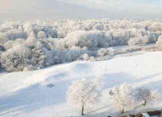 Eligible Warrington Postcodes for Cold Weather Payments eligible-warrington-postcodes-for-cold-weather-payments