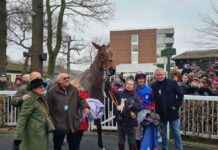 mr-vango-triumphs-in-peter-marsh-chase-at-haydock-park