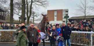 Mr Vango Triumphs in Peter Marsh Chase at Haydock Park mr-vango-triumphs-in-peter-marsh-chase-at-haydock-park