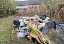 resident-fined-for-illegal-dumping-behind-church-what-you-need-to-know