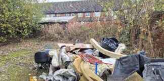 Resident fined for illegal dumping behind church: What you need to know resident-fined-for-illegal-dumping-behind-church-what-you-need-to-know