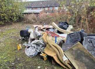 Resident fined for illegal dumping behind church: What you need to know resident-fined-for-illegal-dumping-behind-church-what-you-need-to-know