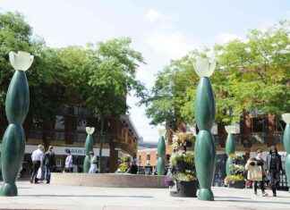 Warrington Salaries Exceed UK Average: Revealing Stark Pay Disparities warrington-salaries-exceed-uk-average-revealing-stark-pay-disparities