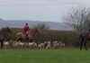 Call for Complete End to Foxhunting as Weak Ban Turns 20 call-for-complete-end-to-foxhunting-as-weak-ban-turns-20