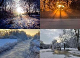 winter-wonderland-8-stunning-warrington-park-photos