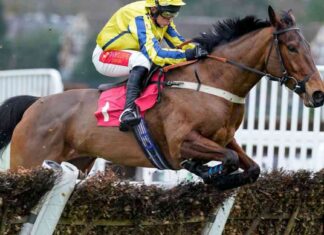 bo-zeniths-horse-power-winning-the-mperial-cup-at-sandown
