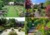 Discover Warrington’s Hidden Gardens: Spring’s Best Kept Secrets discover-warringtons-hidden-gardens-springs-best-kept-secrets