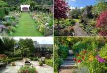 discover-warringtons-hidden-gardens-springs-best-kept-secrets
