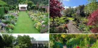 Discover Warrington’s Hidden Gardens: Spring’s Best Kept Secrets discover-warringtons-hidden-gardens-springs-best-kept-secrets