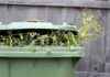 Don’t Forget to Sign Up for Green Bin Collections Today dont-forget-to-sign-up-for-green-bin-collections-today