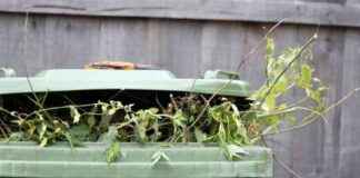 Don’t Forget to Sign Up for Green Bin Collections Today dont-forget-to-sign-up-for-green-bin-collections-today