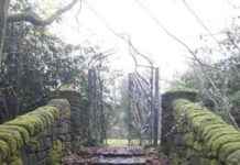 Exploring the Popular Maze at Sankey Valley Park exploring-the-popular-maze-at-sankey-valley-park