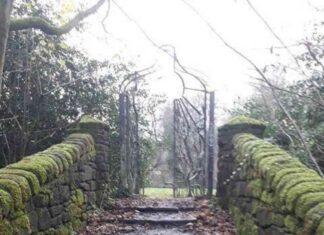 exploring-the-popular-maze-at-sankey-valley-park