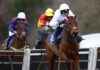 Knockanore Can Win Midlands Grand National at Uttoxeter knockanore-can-win-midlands-grand-national-at-uttoxeter