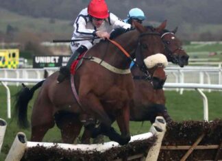 white-rhino-triumphs-in-grimthorpe-chase-at-doncaster