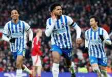 brighton-vs-liverpool-potential-absences-and-return-of-key-players